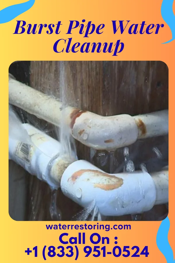 Burst Pipe Water Cleanup in Gainesville, TX