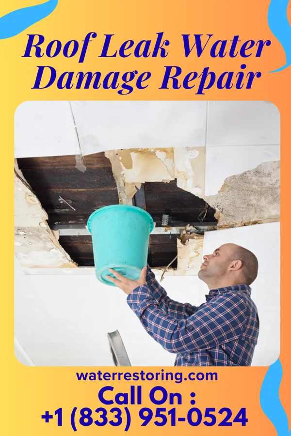 Roof Leak Water Damage Repair in Gainesville, TX